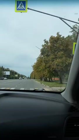 A car's interior dash is visible in the foreground, looking out through the windshield at a road with trees and streetlights lining the side. The sky is overcast. Cars are visible on the road in the distance, and a bus stop sign is mounted on a streetlight.