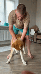 Morning domestic life documented in Chaikovsky, Russia with pets
