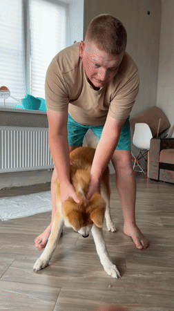 Morning domestic life documented in Chaikovsky, Russia with pets