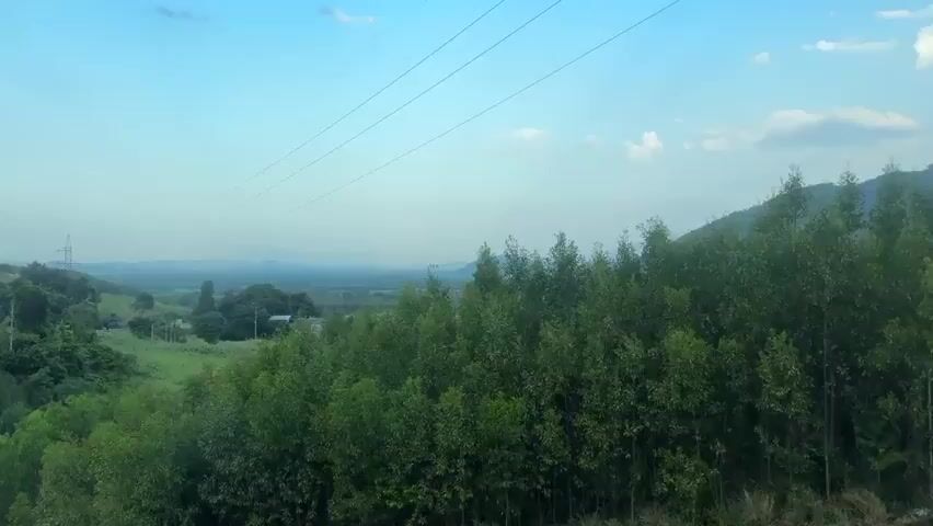 A static shot shows a lush green landscape with rolling hills under a bright blue sky with scattered clouds. In the foreground, dense trees with vibrant green foliage dominate the right side of the frame. A field of green grass and crops stretches across the middle ground, dotted with a few scattered trees. In the distance, a series of mountains fades into a hazy horizon. Power lines stretch across the upper portion of the frame, running parallel to each other. The scene appears to be a rural or natural setting, possibly during the daytime given the bright sky. No people or specific actions are visible.