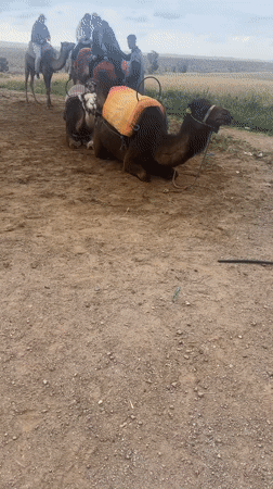 Camel riding activity recorded in Lalla Takarkoust, Morocco
