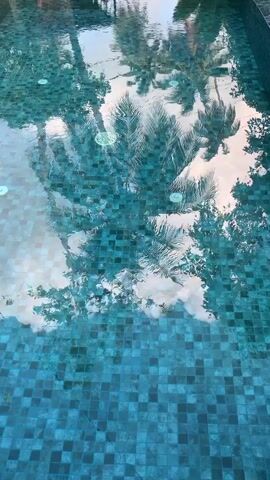 This video shows a reflection of palm trees and the sky in a swimming pool. The pool has a tiled bottom, with small, square, dark blue tiles. The water is clear and reflects the surrounding environment. The reflection of the palm trees is sharp and detailed, showing the fronds and the trunks of the trees. The sky is visible in the reflection as well, with some white clouds scattered across it. There are two circular, white objects visible in the pool, which appear to be skimmers or drains. The video is filmed from a slightly elevated angle, looking down into the pool. The overall impression is one of tranquility and relaxation.