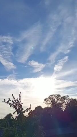 The video shows a time-lapse of clouds moving across a bright blue sky. The sun is visible, partially obscured by clouds, suggesting it is either sunrise or sunset. In the foreground, the silhouettes of trees and a building are visible against the sky. The clouds are thin and wispy, with some appearing to form elongated shapes. The overall impression is of a peaceful and serene sky.