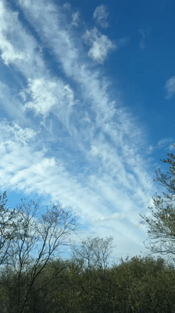 Clear blue sky with wispy clouds observed in Kaļķis, Latvia