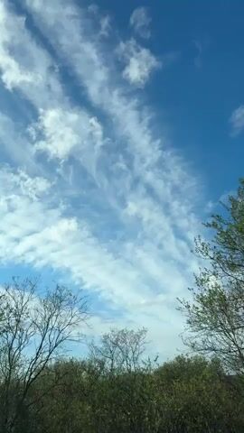 The video shows a view of the sky from below. The sky is bright blue with streaks of wispy white clouds running across it. In the lower part of the frame, bare tree branches and some greenery are visible, suggesting a wooded area or park.