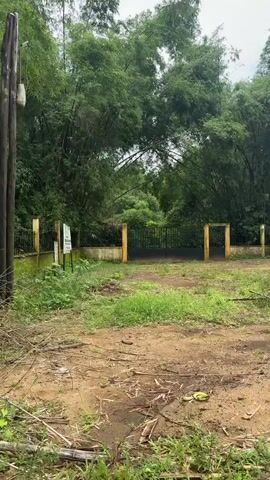 The video shows an exterior shot of a path leading into a dense bamboo forest. A black gate with a yellow wall on either side stands at the entrance. To the left, a light pole with wires is visible, and on the right, a blue sign with white text. The ground is covered in dirt and green grass, with fallen branches and leaves scattered across the path. The trees in the background are tall and green, and the sky is overcast.