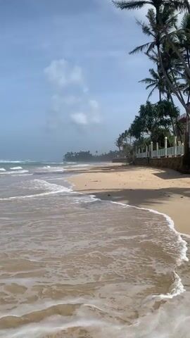 The video shows a beach with palm trees. The ocean waves are gently lapping at the shore. The sky is partly cloudy and the sun is shining. There is a fence along the edge of the beach, and some buildings can be seen in the distance. The sand is light brown and there are some footprints visible.