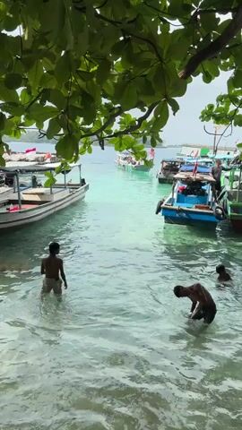 The video shows a shallow, clear water area with several boys playing in it. There are several small boats docked around them, some with Indonesian flags on them. A man is visible on one of the boats. The view is partly obscured by the leaves and branches of a tree. The water is shallow enough that the boys can easily stand. Two of the boys briefly grapple playfully.