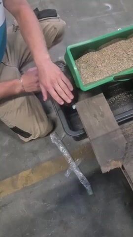A person kneels on a concrete floor near a seed spreader filled with grain. The seed spreader has a green hopper and a black receptacle. The person is holding the wheel of the seed spreader. A wooden plank rests on top of the receptacle, obscuring it from view. The scene is dimly lit and appears to be an industrial or storage area.