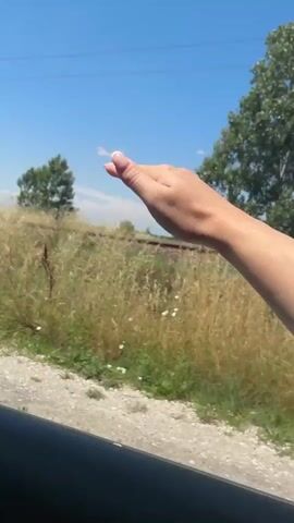 A hand is shown extending from a car window, its palm flat at first. The hand then closes into a fist, then opens again with fingers spread. The background is a field of tall, dry grass under a clear blue sky. Overhead power lines are visible in the distance.