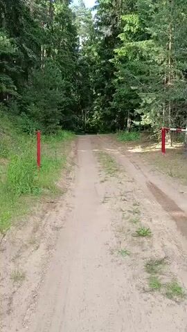 The video shows a dirt road leading through a dense forest. The road appears to be a car track, with tire marks visible. On either side of the road, tall evergreen trees create a shaded canopy. Green grass and some smaller plants grow along the edges of the road. At the entrance to the road, there are two red and white striped barriers, suggesting this may be an access point to a private area or a nature reserve. The sky is visible through the trees, indicating it is daytime and likely sunny, given the bright light filtering through the foliage. The overall scene evokes a sense of tranquility and the natural beauty of a wooded environment. There is no visible text in the media file. The location context provided is Фарынаўскі сельскі Савет, Belarus.