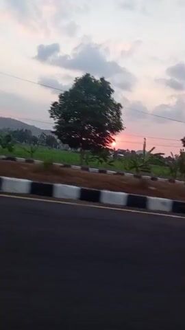 The video shows a blurry, fast-moving view of a sunset over a landscape. The camera appears to be in a vehicle, as indicated by the motion blur and the perspective of a road in the foreground. The sun is visible as a bright orange disk near the horizon, with streaks of pink and orange in the sky. Clouds are present, some appearing light and wispy, others darker and more defined. In the middle ground, there are trees, some appearing tall and slender, possibly palm trees, and others with fuller canopies. There are also hints of vegetation, possibly fields or crops. A barrier with black and white markings runs along the side of the road. In the far distance, mountains or hills can be seen. The overall impression is of a scenic drive during twilight.