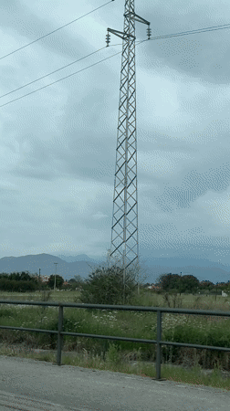 Spring wildflowers bloom in Montenegro countryside field