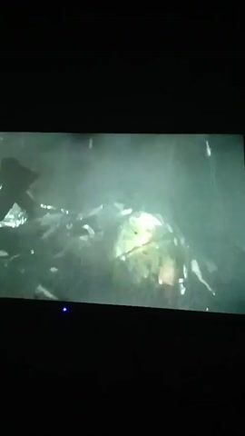 A dark, grainy video shows a blurry, green-lit scene. In the first frame, a round, glowing object is visible surrounded by what appear to be various objects or debris. The scene then shifts, showing a figure in a black outfit emerging from the water. The third frame shows the figure in black walking through what looks like water or fog. The final frames show a close-up of the glowing, round object, which is partially submerged in liquid, with hands reaching towards it from the sides. The overall atmosphere is murky and somewhat menacing.