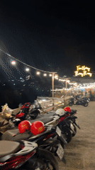 A quirky Da Lat night — dogs, neon, and glowing architecture