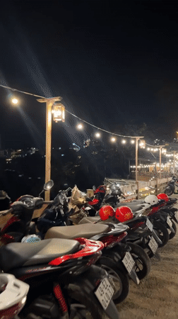 A quirky Da Lat night — dogs, neon, and glowing architecture