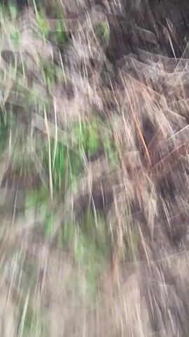 The video is a very blurry, out-of-focus shot of what appears to be an outdoor environment. The dominant color is green, suggesting foliage or grass. There are also areas of lighter, muted colors and darker shadows. The camera movement is shaky and erratic, indicating it was likely handheld. The image quality is poor, making it impossible to discern any specific objects or individuals. The lighting appears to be natural daylight, but the lack of focus obscures any details about the time of day or specific light sources.