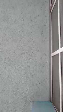A man with a beard and dark hair appears to be filming himself from a low angle. He is wearing a black collared shirt with a logo on it. He has a cigarette or a similar object in his mouth. He briefly smiles at the end of the video. The background consists of a light blue wall with the word "NEMO" in graffiti and part of a window frame.