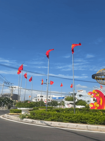 Daily Life Scenes Captured Across Ninh Chu Ward Vietnam