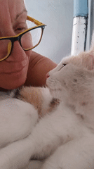 Woman shares quiet afternoon moment with cat in Viadana