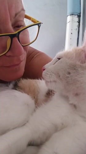 Woman shares quiet afternoon moment with cat in Viadana