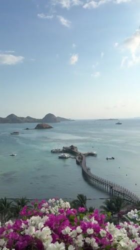 Labuan Bajo harbor views, bougainvillea, and sunset selfies
