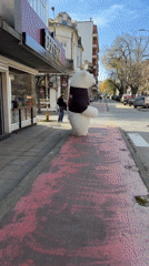 Everyday moments captured across Varna, Bulgaria during midday hours