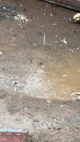 The video shows a close-up view of a muddy outdoor area with several piles of materials on pallets in the background. Rain is falling, creating ripples in a puddle of muddy water in the foreground. The ground is covered in dirt, gravel, and some debris. A white plastic bag is visible near the edge of the puddle. The overall scene appears to be an outdoor storage or construction area.
