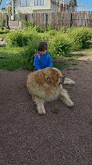 Kid and a big fluffy dog hang out on a gravel path