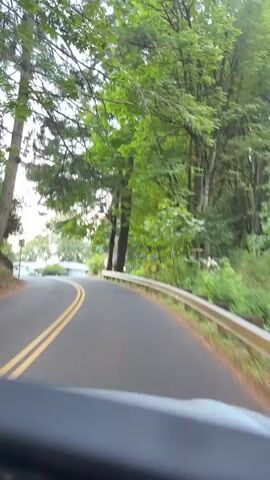 A vehicle drives down a paved road lined with trees. The road curves to the left, and in the distance, a body of water is visible. There is a guardrail along the right side of the road, and houses can be seen nestled amongst the trees on the left. A signpost is also visible near the water. The sky is clear and blue.
