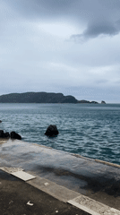 Spring blooms and seaside pier captured in Budva Montenegro