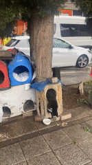 Street cat shelters documented during rainy day in Çekmeköy