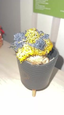 A close-up shot focuses on a black pot with ribbed sides and small wooden legs. Inside the pot, a decorative arrangement of dried moss or lichen is visible, predominantly in shades of yellow and blue. A piece of coarse brown twine is partially submerged in the moss. The pot sits on a light-colored wooden surface, possibly a table or desk. In the background, a blurred green surface with some text is visible, suggesting an indoor setting like an office or a shop. The lighting is somewhat dim, casting subtle shadows.