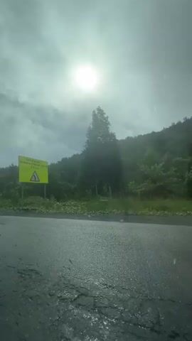 The video captures a view from a vehicle traveling on a wet, cracked asphalt road. The sky is overcast with the sun faintly visible through the clouds. Lush green trees and foliage line the side of the road, leading up to a gently sloping hill or mountain in the background. A tall, thin signpost with yellow banners is visible on the right side of the road. The overall impression is a gloomy, possibly rainy day in a rural or natural setting.