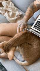 Man works on laptop with cat companion in Khimki
