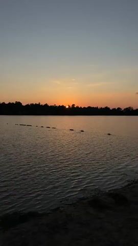 A time-lapse video captures the setting sun over a calm body of water. The sun, partially obscured by a silhouetted tree line, casts a warm orange glow across the sky and reflects on the water's surface. The sky transitions from a deep blue at the top to lighter shades of orange and pink near the horizon. Small, consistent ripples disturb the otherwise still water. In the foreground, the dark silhouette of a sandy shore is visible. A line of buoys or markers extends across the water from left to right. The video does not contain any people or explicit actions.