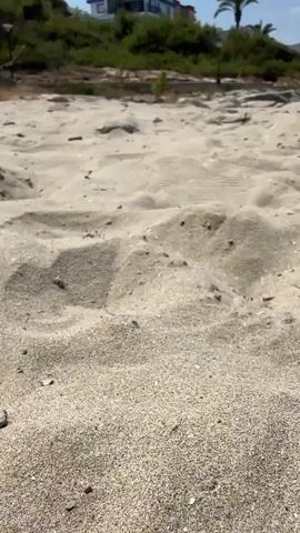 The video is a vertical, handheld shot of a beach on a clear, sunny day. The camera starts at ground level, focusing on the sand with visible footprints. It then pans up and to the right, revealing a coastline with rocks, a sandy beach, a few buildings on a hill, a palm tree, and buildings in the distance along the shore. The sea is visible on the right side of the frame, with calm water. The sky is a clear blue. There are no people visible in the video.