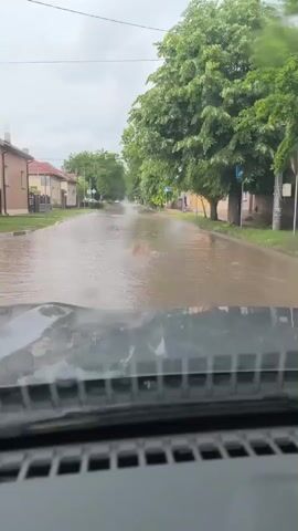 The video, filmed from inside a vehicle with its dashboard and windshield visible in the foreground, captures a flooded residential street in Trastenik, Bulgaria, during daytime. The sky is overcast and grey, indicating recent heavy rainfall. The street is completely submerged under murky, brown floodwater, which shows ripples and disturbance in the middle, suggesting either a current or recent passage of something through it.

On both sides of the street, houses with fences are visible, partially obscured by the high water level. Lush green trees line the street, especially on the right, with some appearing to have their bases in the floodwaters. Two blue street signs are present on the right side, though their details are indistinct. No people are visible in the scene. An intermittent electronic alarm sound, originating from the vehicle, is audible throughout the recording.