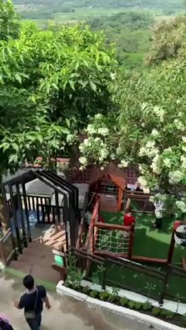 Here is a description of the video:

The camera offers an elevated, steady viewpoint of a brightly colored playground nestled in a lush, green, hilly landscape. The playground has a wooden frame and the ground is covered in artificial turf. Several individuals, including children, are visible. The children are playing on the equipment within the playground, while other people seem to be watching over them. Surrounding the playground are vibrant green trees and bushes, some of which are adorned with white flowers. In the distance, a hillside stretches out with a misty quality. The environment looks like a resort or a tourist destination with a natural setting.