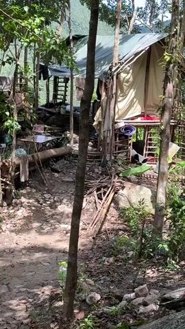The video shows a rustic, elevated camp or shelter in a forest. The structure is supported by wooden beams and built on a platform slightly above the ground. There's a tent-like covering or tarp overhead and several items hanging up. A makeshift wooden path or walkway leads up to the structure. The surrounding environment is lush, with trees and vegetation.