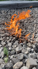 Woman does yard work near Moscow, documented in photos