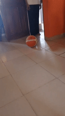 Casual indoor moments: a basketball, a blue chair, a couch