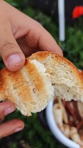 A close-up shot shows a person holding a torn piece of toasted bread. Their fingers, with visible fingernails, are gripping the bread. The bread is light-colored with golden-brown toasted areas and some darker burnt spots. In the blurred background, hints of green foliage and a white object, possibly a bowl, are visible. The person appears to be breaking or examining the bread.