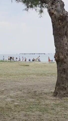 A beach scene unfolds on a cloudy day. A pier stretches into the calm water in the background. Several people are on the sandy beach, engaging in various activities. A group of people are seated, some in chairs, enjoying the view. A young child wanders around on the sand. A couple walks by, each carrying beach gear. Other individuals are seen standing by the water's edge. The foreground consists of dry grass and patches of dirt.