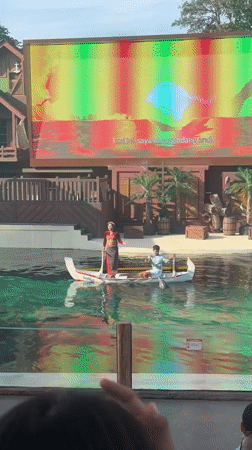 Marine animal shows documented at Indonesian safari park