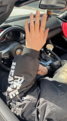 Couple with convertible car and pets documented in Saint Petersburg