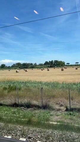 The video captures a landscape scene from a moving vehicle, likely a train, as evidenced by the passing scenery and the slight blur. The scene consists of a vast, dry, golden field dotted with numerous large, round hay bales. A tall, solitary utility pole with wires stretches vertically on the left side of the frame, contrasting with the horizontal expanse of the field. The sky is a clear, bright blue with a few wispy clouds. In the distance, a line of trees forms the horizon, with some taller, umbrella-shaped trees visible on the right. A small, dark object, possibly an airplane, is visible in the far distance against the sky. The foreground shows a grassy area with a wire fence running horizontally, suggesting the view is from a window looking out over the field. The sun appears to be shining brightly, creating a warm, summery atmosphere.