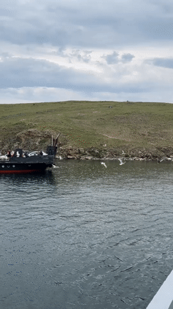 Ferry passengers explore Khuzhir market stalls on Lake Baikal