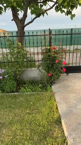 The video shows a panoramic view of a garden. In the foreground, there is a lush green lawn. Behind the lawn, there is a flower bed with various flowers, including pink aster flowers and red roses. A black metal fence runs along the back of the flower bed, with a residential house visible beyond the fence. The sky is overcast with some clouds. The camera pans from left to right, capturing the different parts of the garden. There are no people or animals visible in the video. The overall scene depicts a peaceful and well-maintained garden.