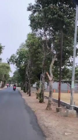 The video shows a street view, likely from a moving vehicle. On the left side of the road, a few people are seen on motorcycles and bicycles. The right side of the road is lined with trees, a lamppost, and a fence enclosing what appears to be a sports field with bleachers. A silver car is parked on the side of the road, followed by several motorcycles. The weather appears overcast.
